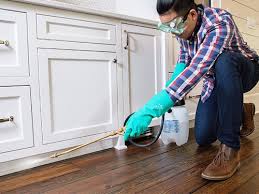 Best Pest Control for Multi-Family Homes  in Carthage, TX